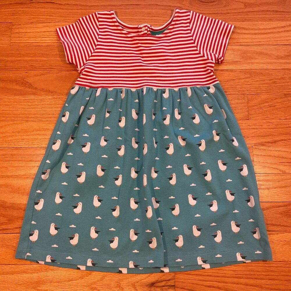 Little Green Radicals Seagull Dress